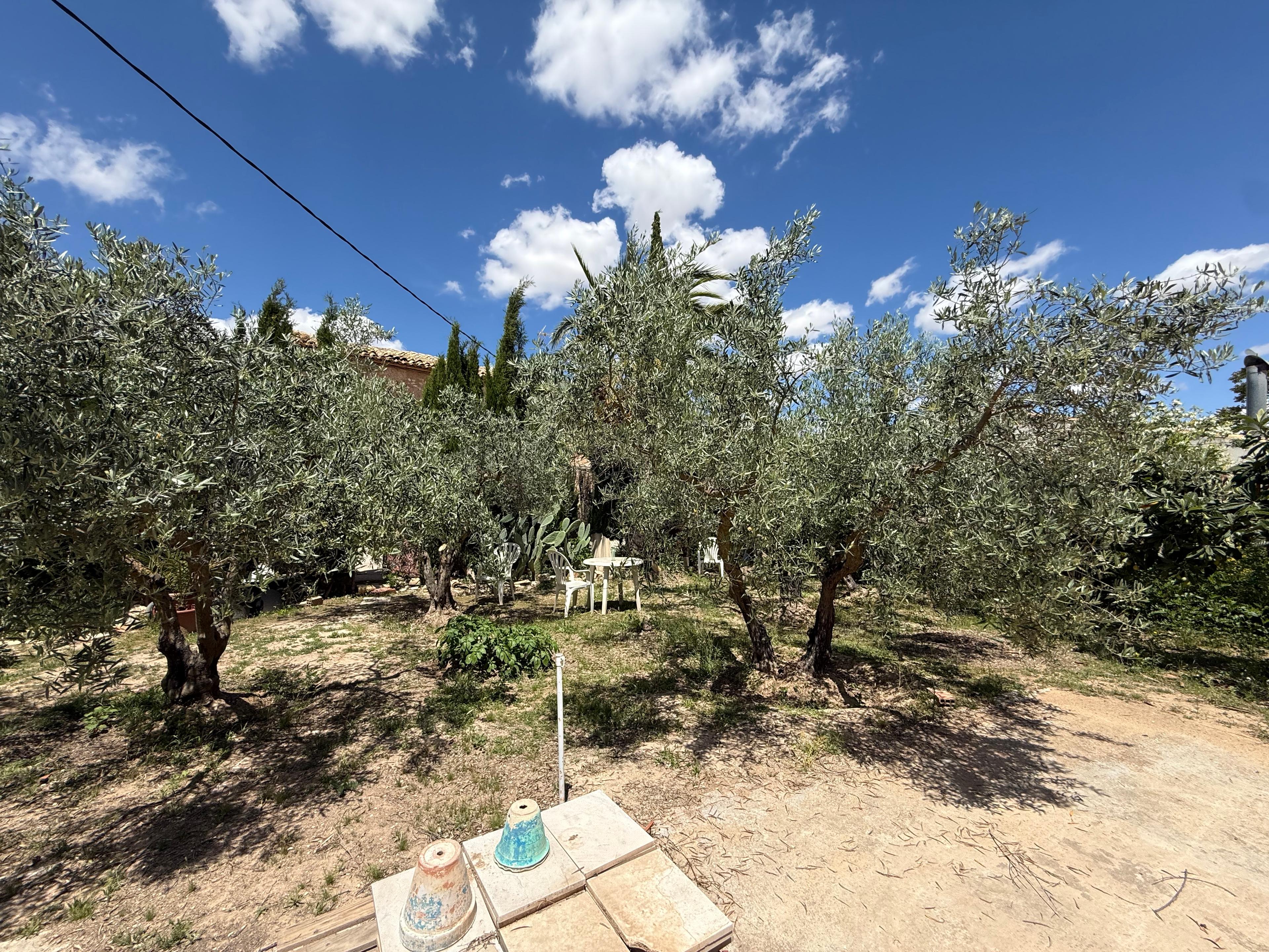 Casa Rústica en Venta en Diseminado Trigo - 38