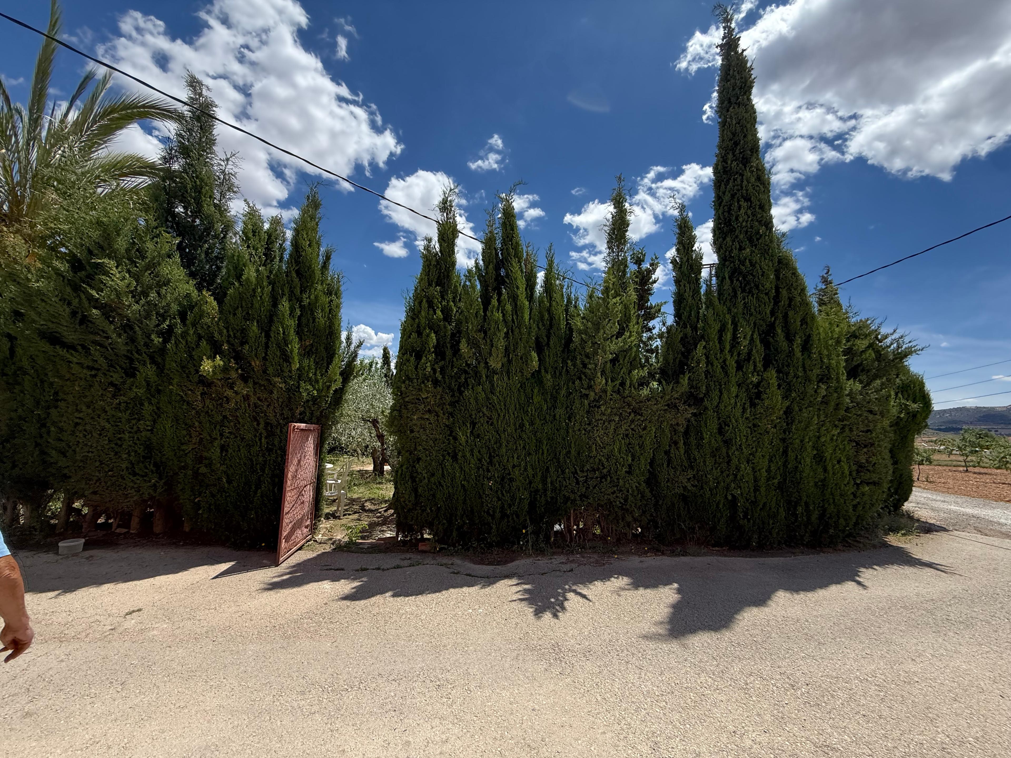 Casa Rústica en Venta en Diseminado Trigo - 36