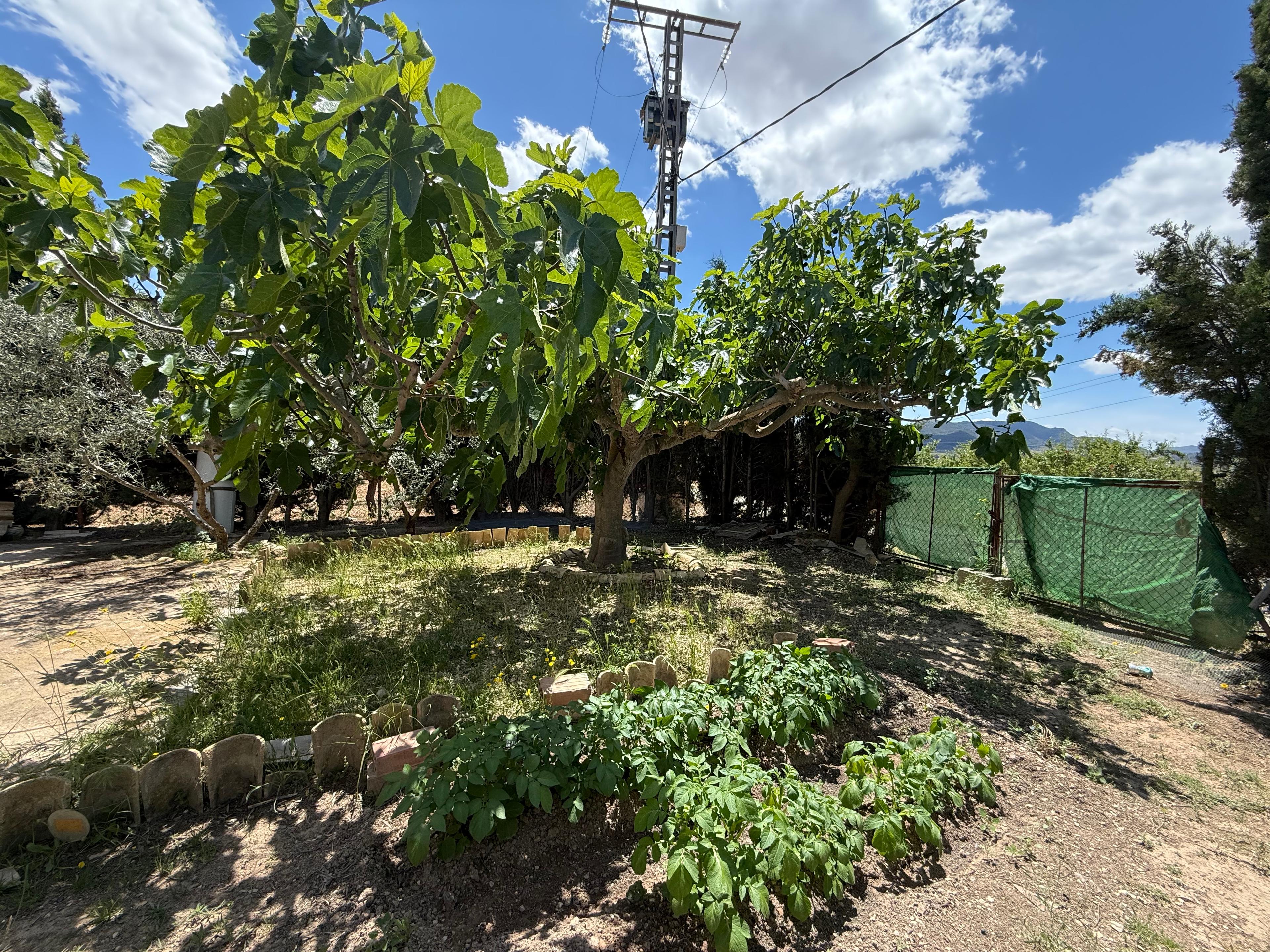 Casa Rústica en Venta en Diseminado Trigo - 40