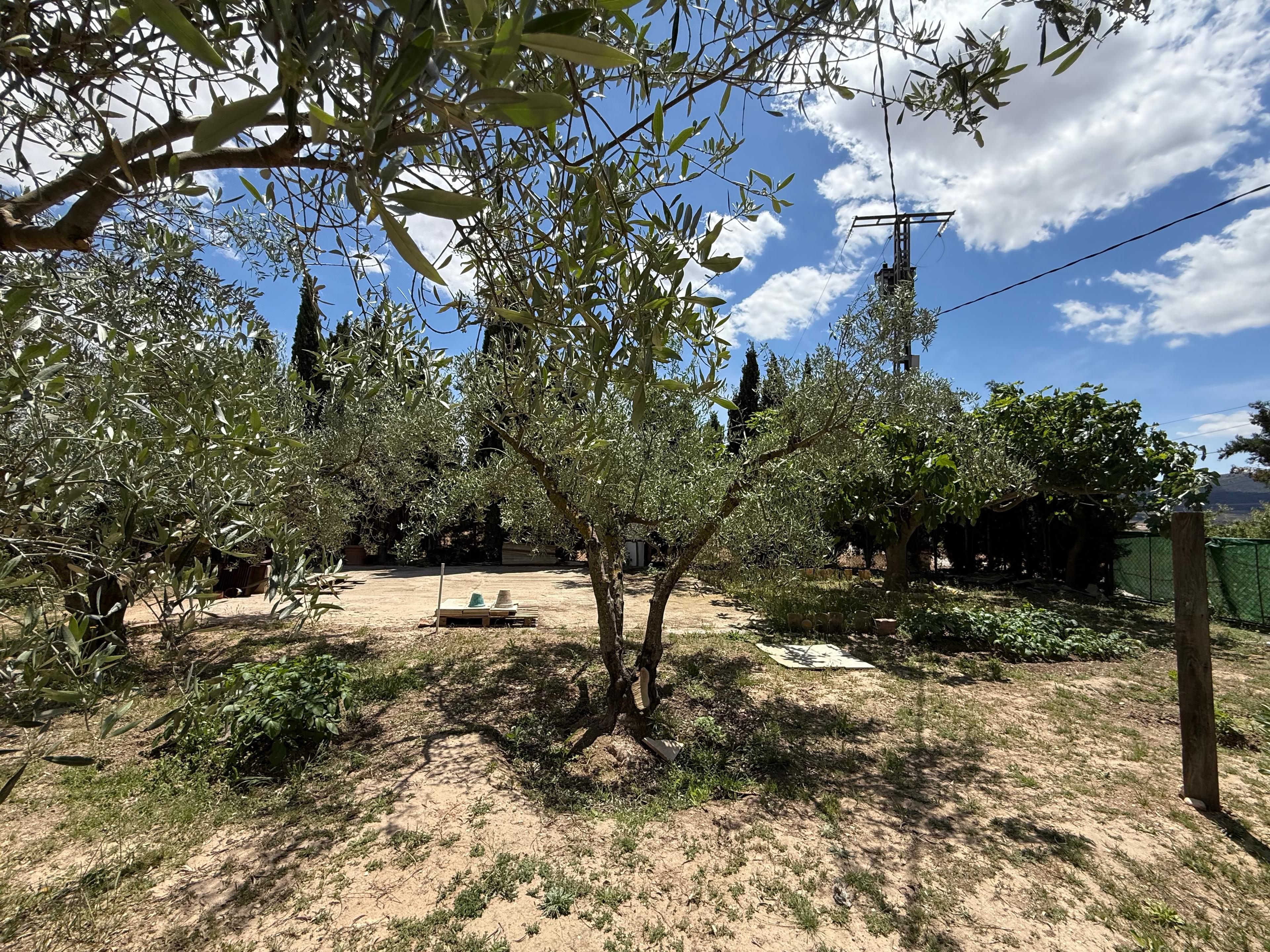 Casa Rústica en Venta en Diseminado Trigo - 42