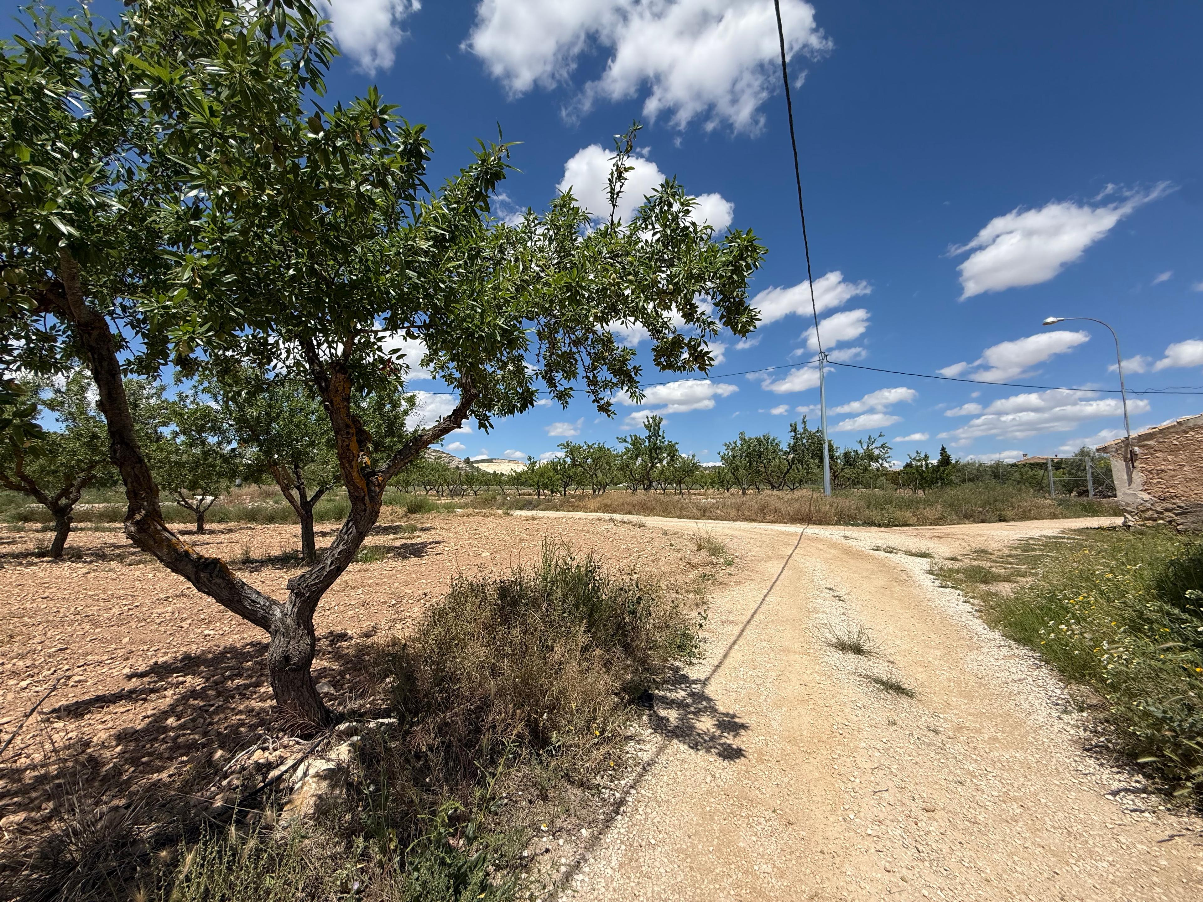 Casa Rústica en Venta en Diseminado Trigo - 45