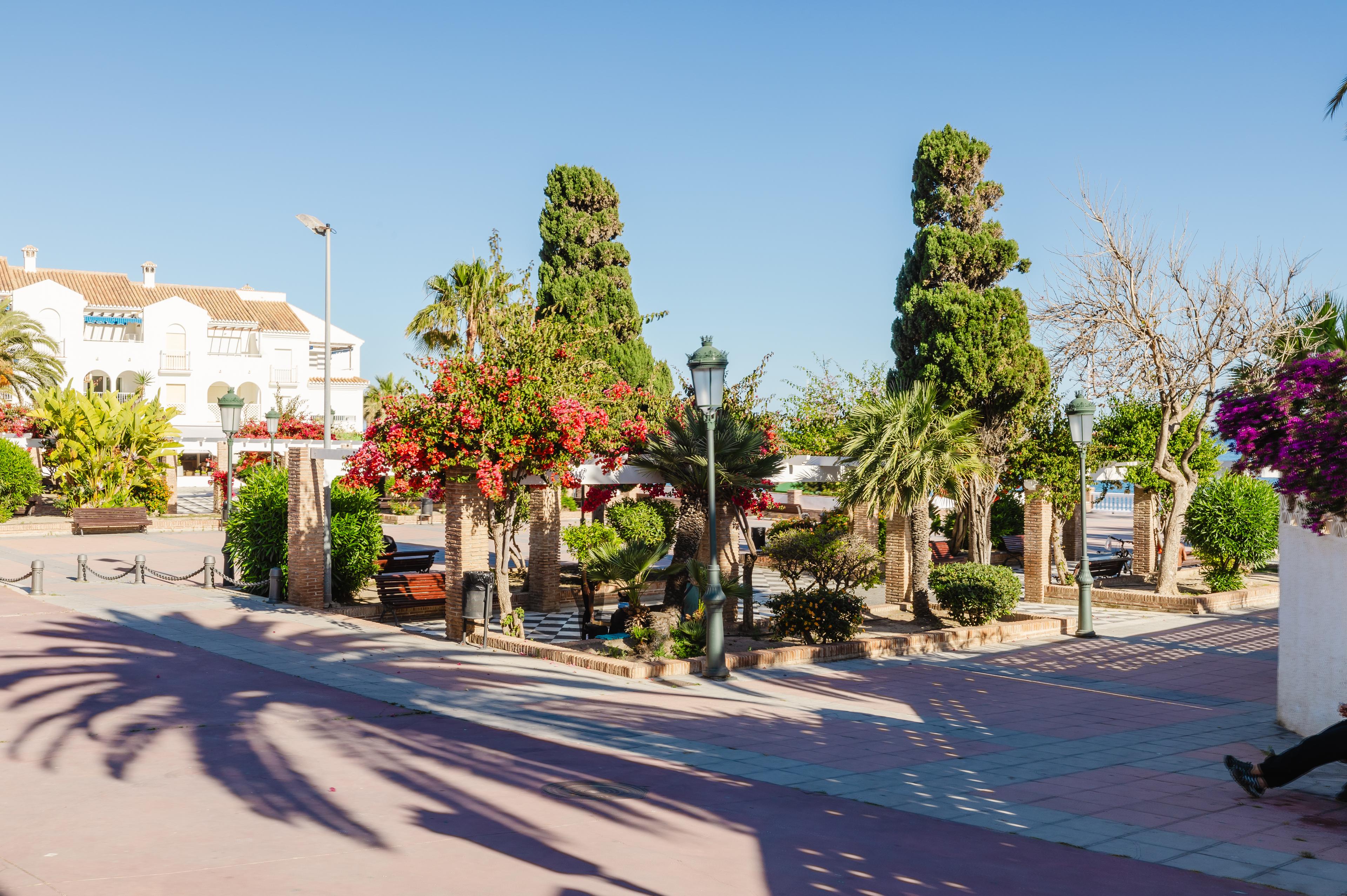 Piso en Venta en Calle Antonio Millón - 24