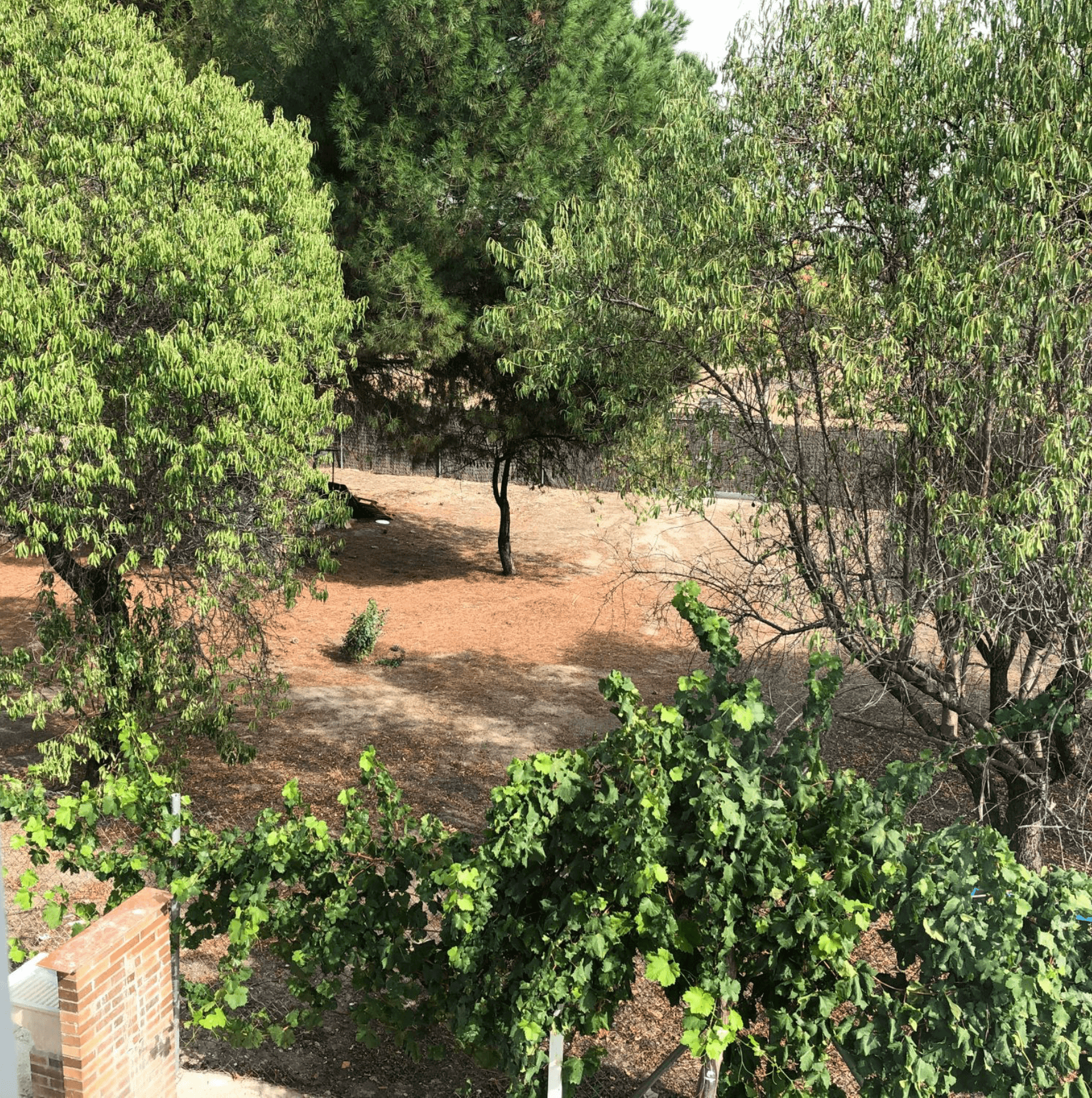 Townhouse en Venta en Calle Los Manzanos - 16