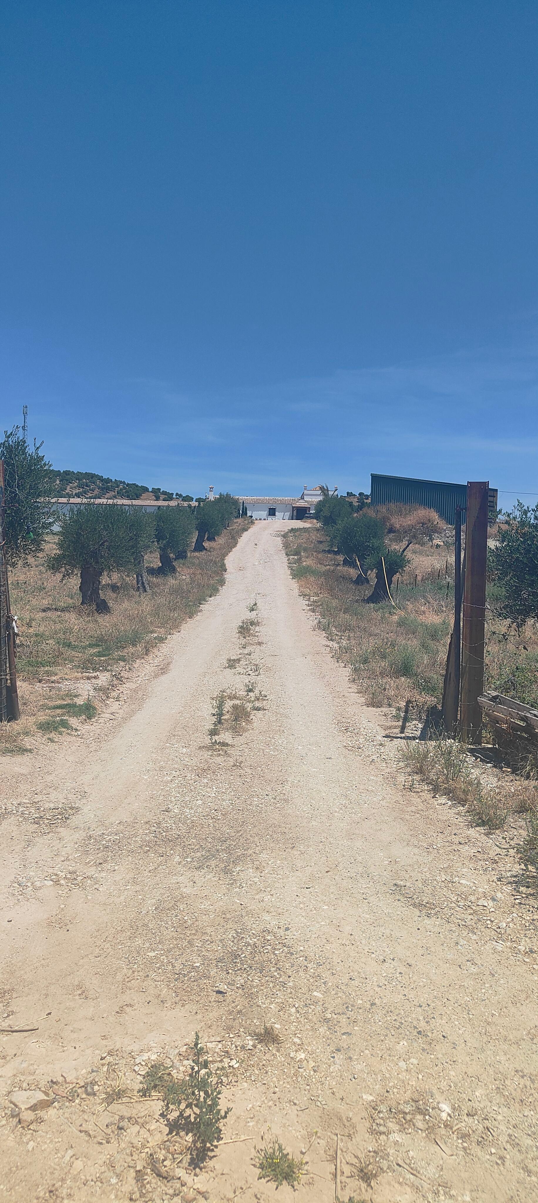 Casa Rural en Venta en Calle Hijas de la Caridad - 26