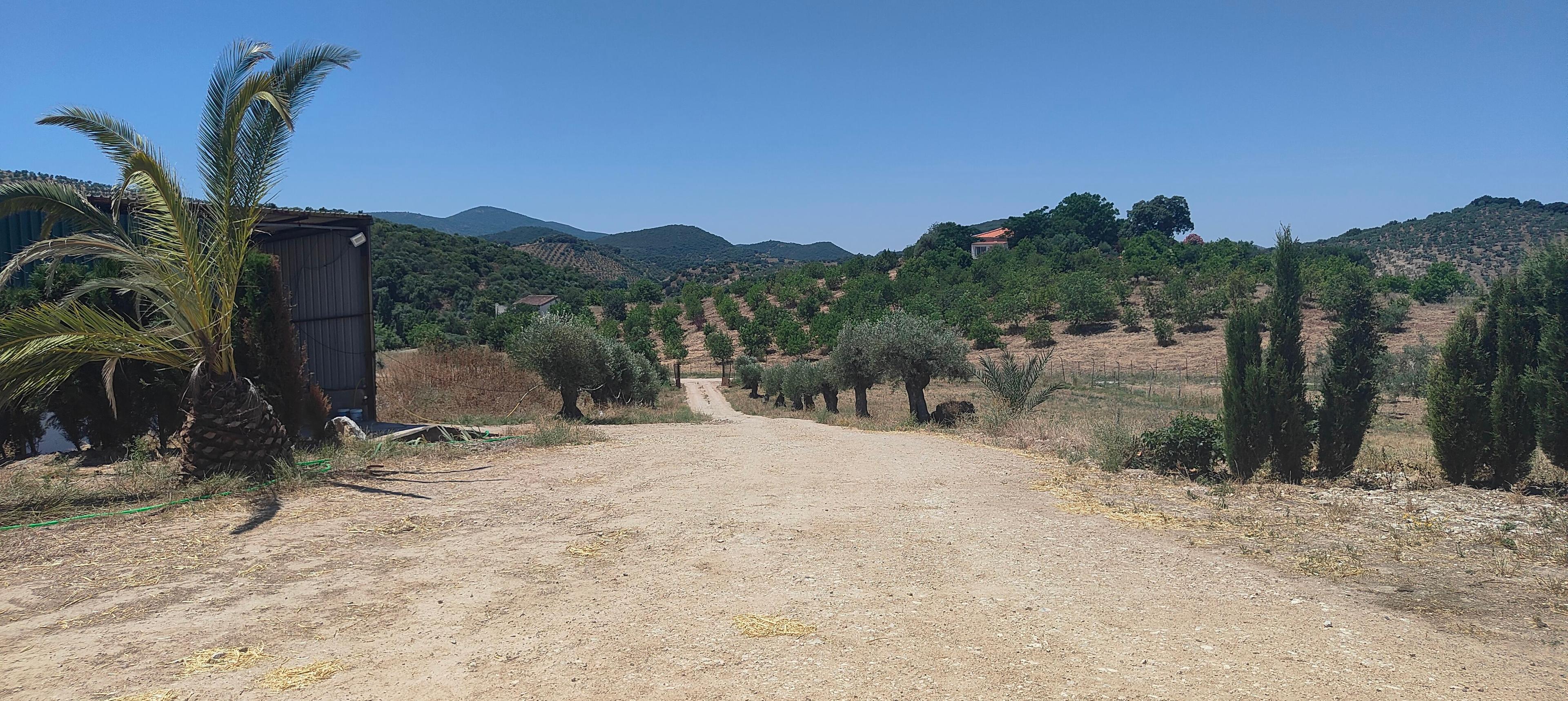 Casa Rural en Venta en Calle Hijas de la Caridad - 32
