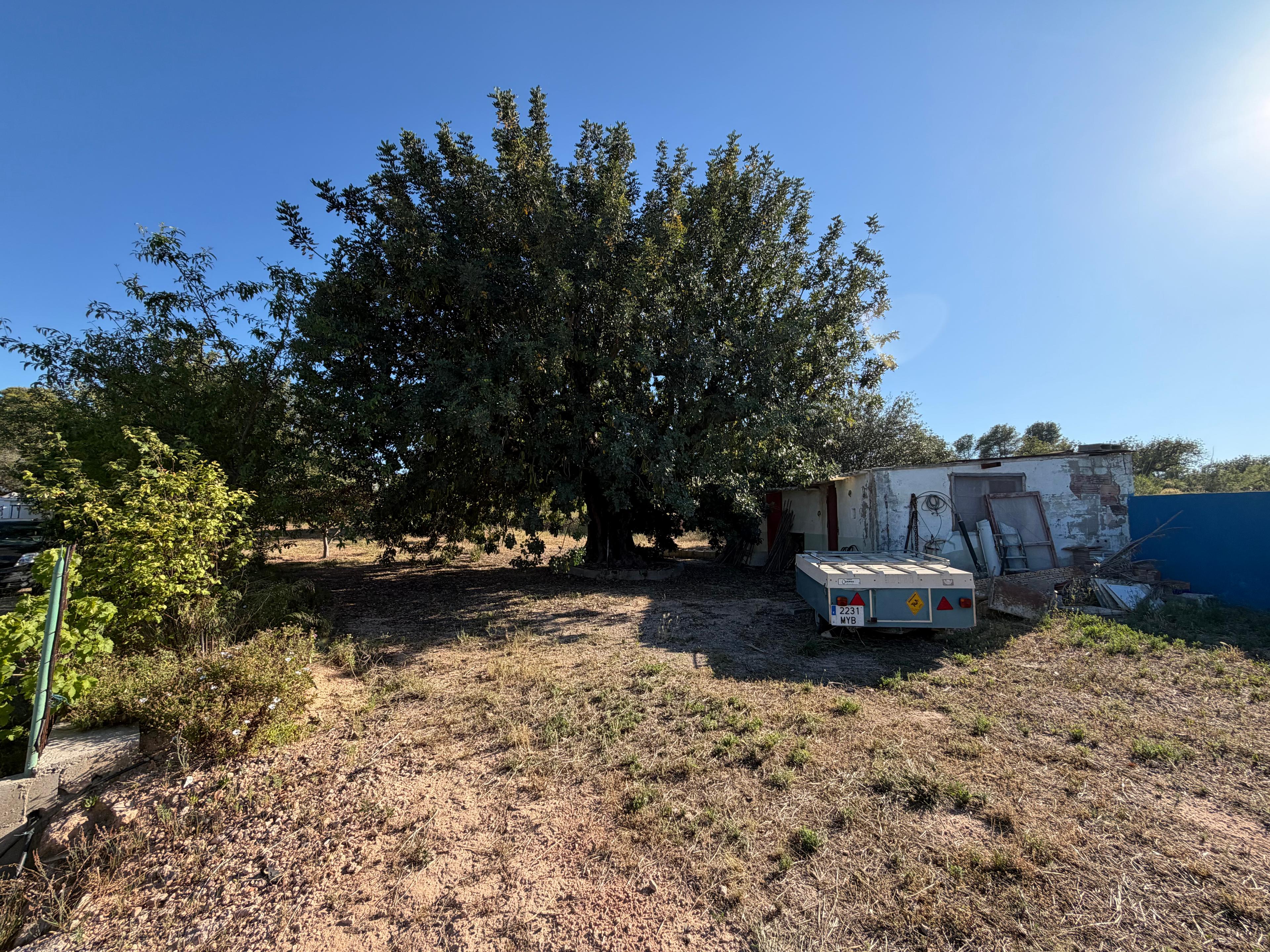 Casa Rústica en Venta en Plaça Diseminados - 38
