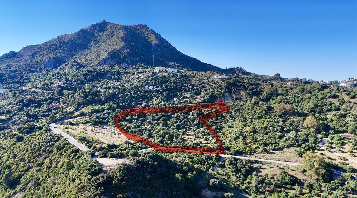 Parcela en Venta en Diseminado Las Pilas - 2