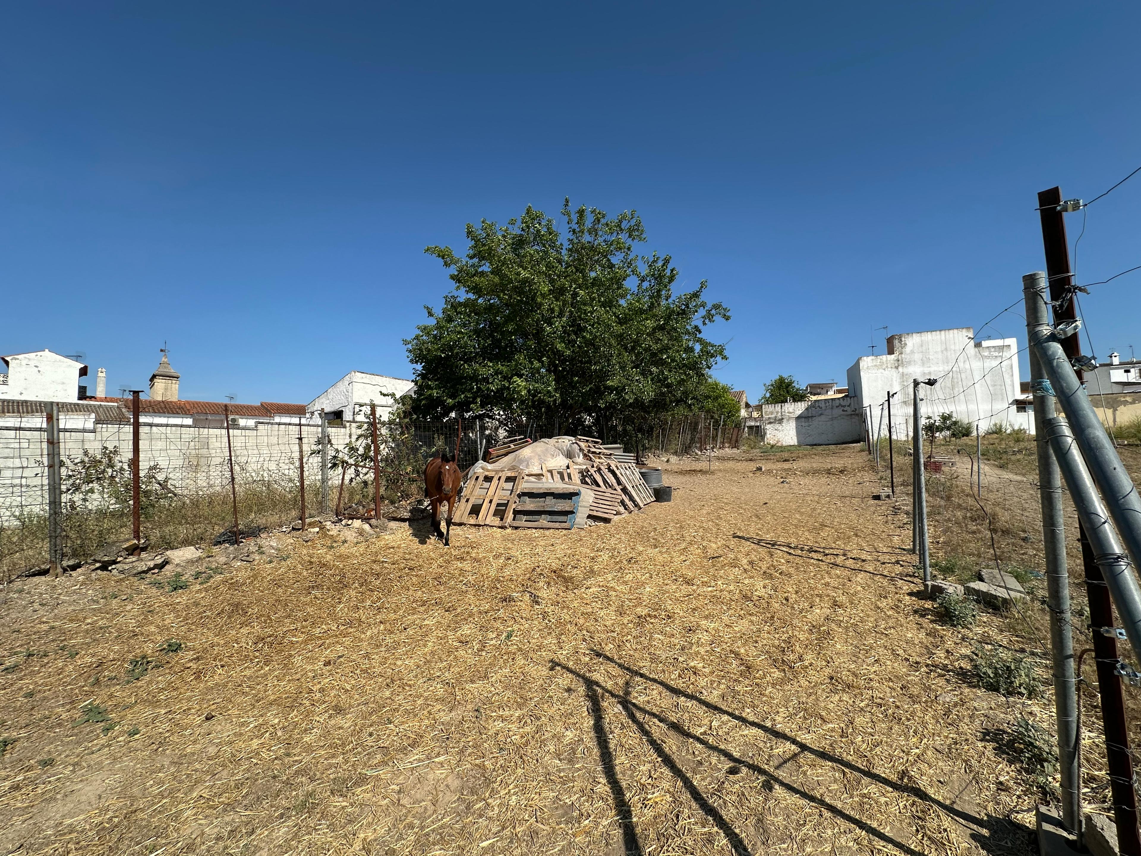 Solar en Venta en Poligono PP2 SR-2 - 3