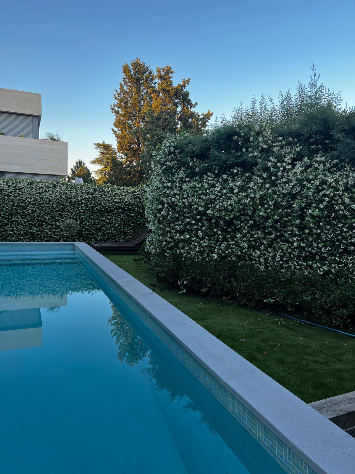 Casa en Venta en Calle Felipe Olvera - 31