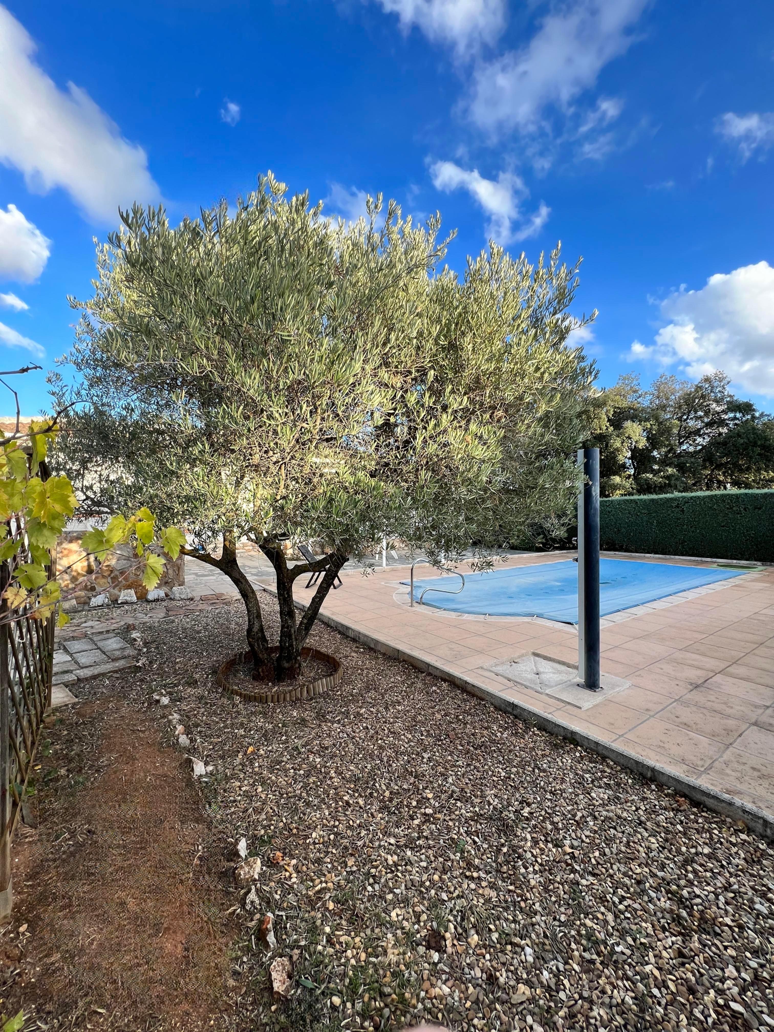 Casa en Venta en Calle Villafranca - 4