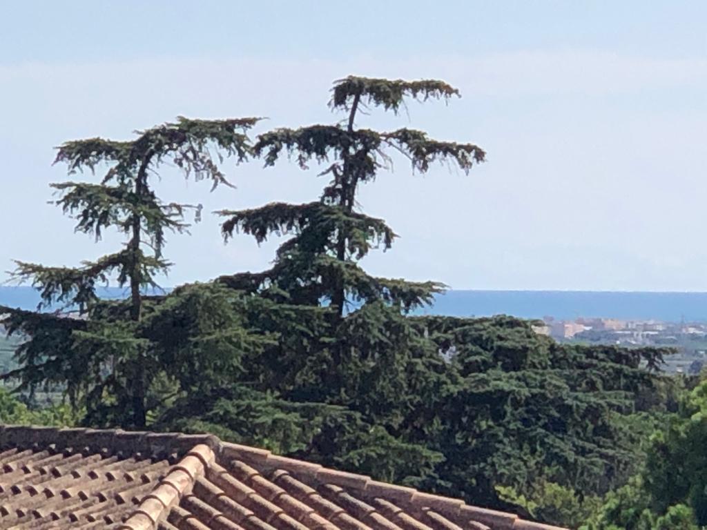 Townhouse en Alquiler en Carrer Montgó - 15