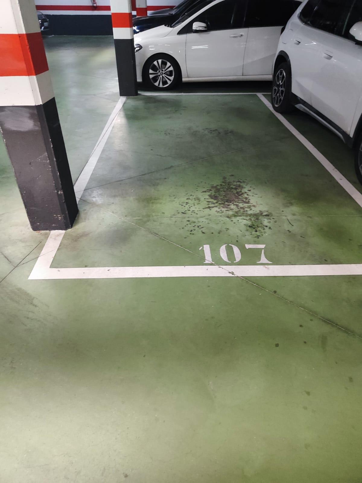 Piso en Venta en Calle Junta de Castilla y Leon - 5