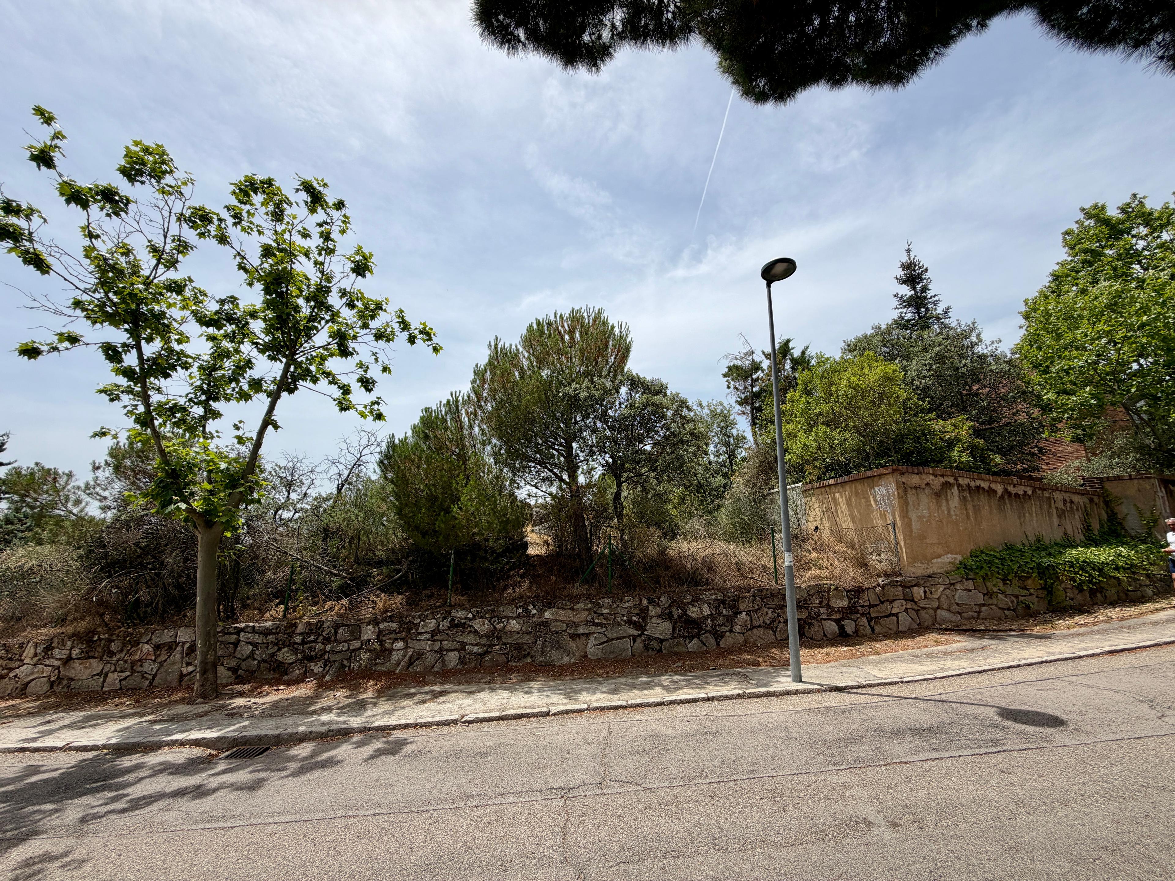 Residential_Plot en Venta en Calle Abeto - 8