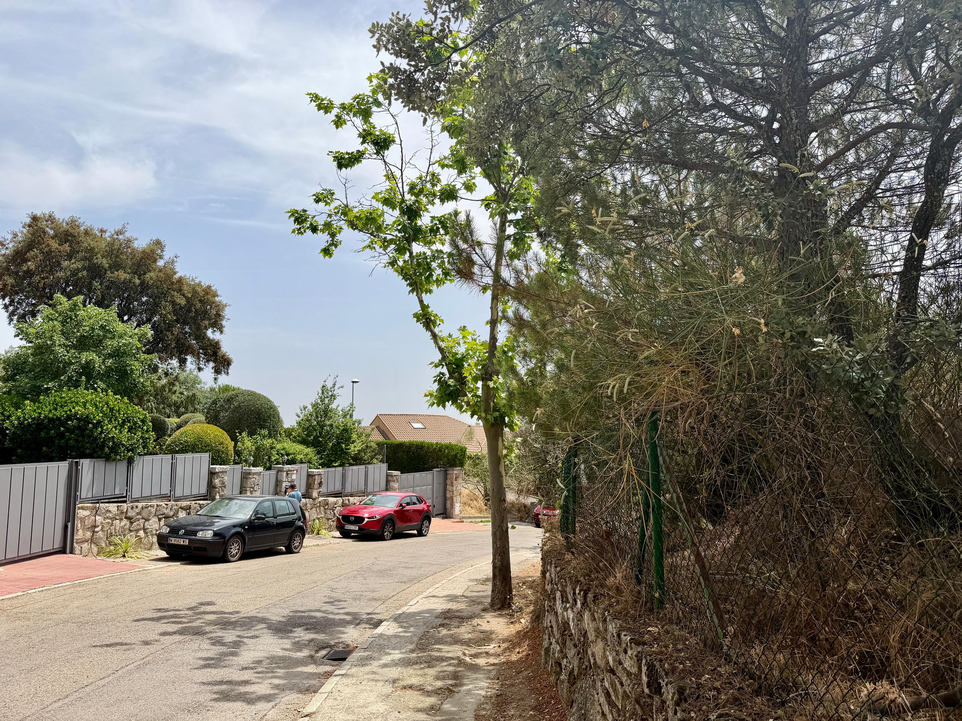 Residential_Plot en Venta en Calle Abeto - 9
