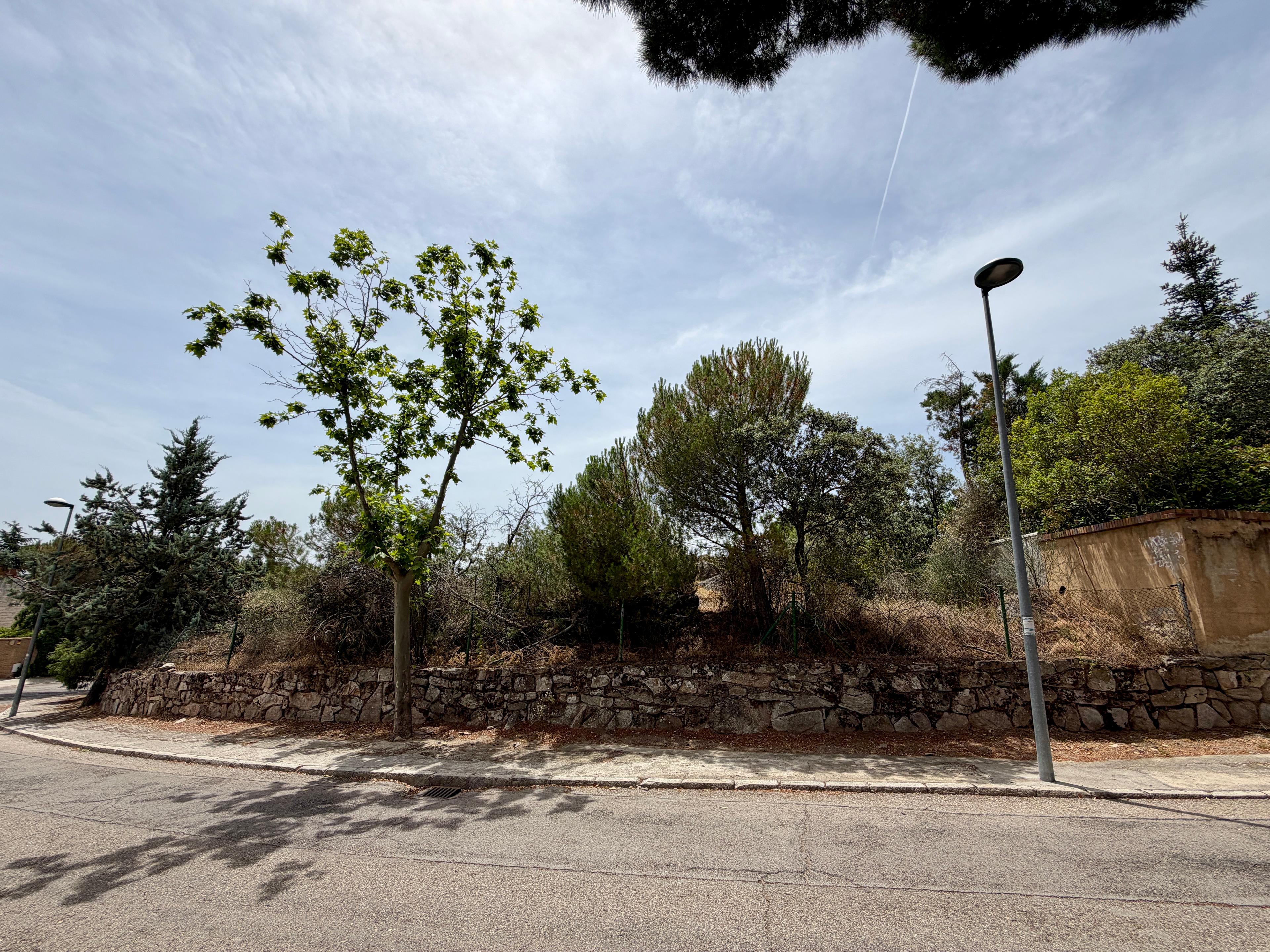 Residential_Plot en Venta en Calle Abeto - 14