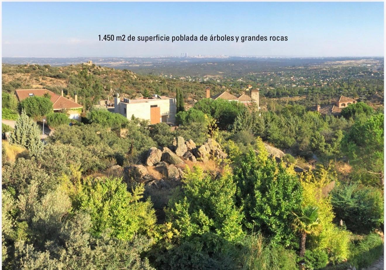 Residential_Plot en Venta en Calle Abeto - 2