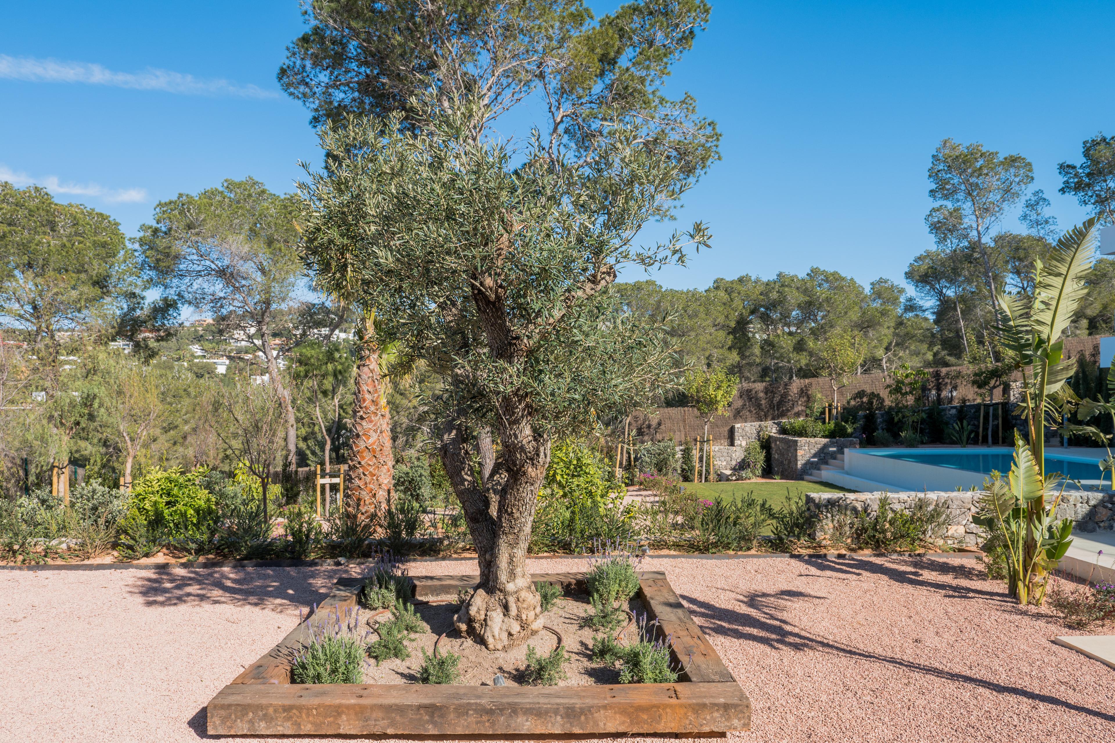 Villa en Venta en Can Furnet (Santa Eulària des Riu) - 26
