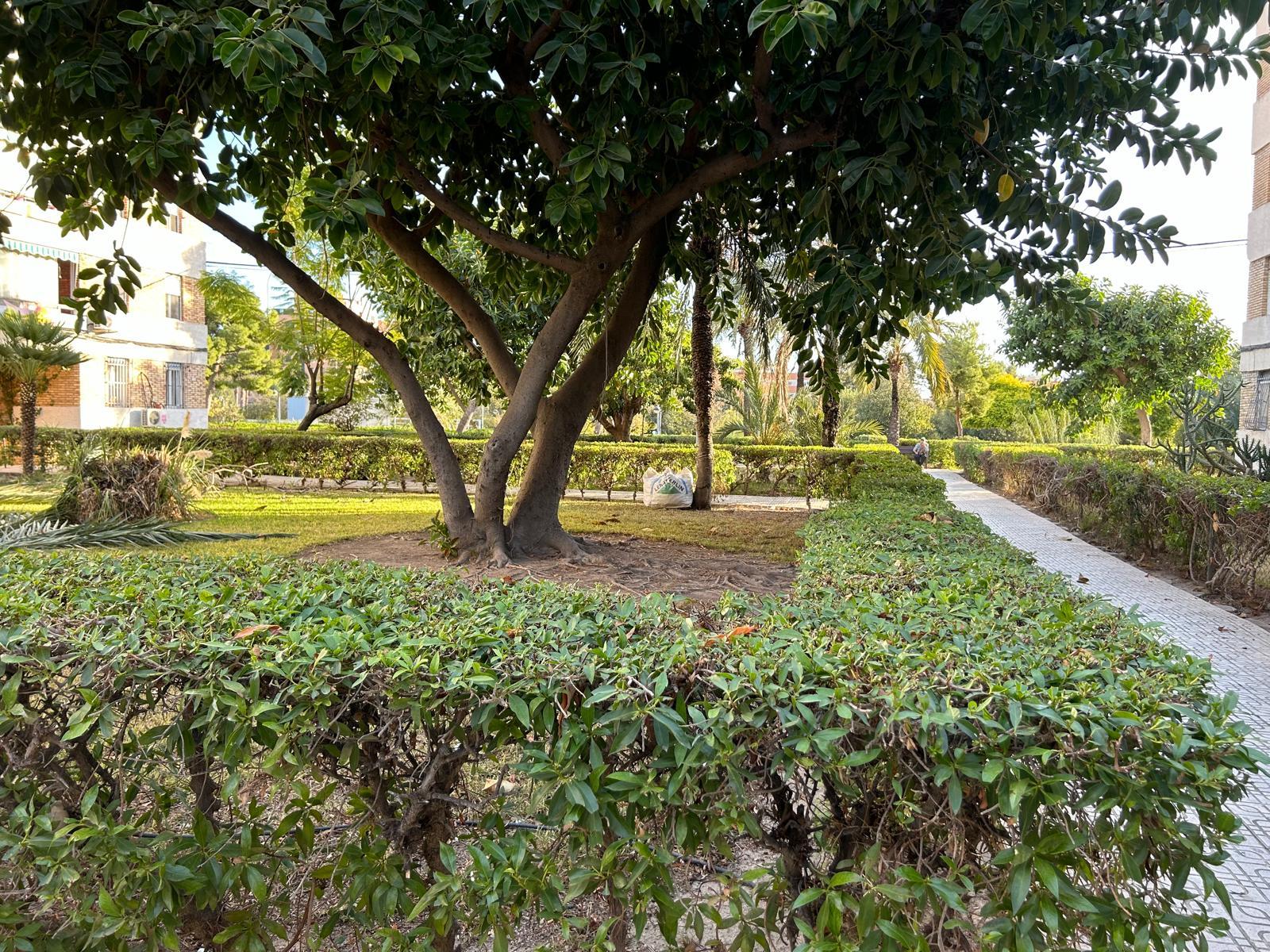 Piso en Venta en Calle Pintor Antonio Amorós - 13