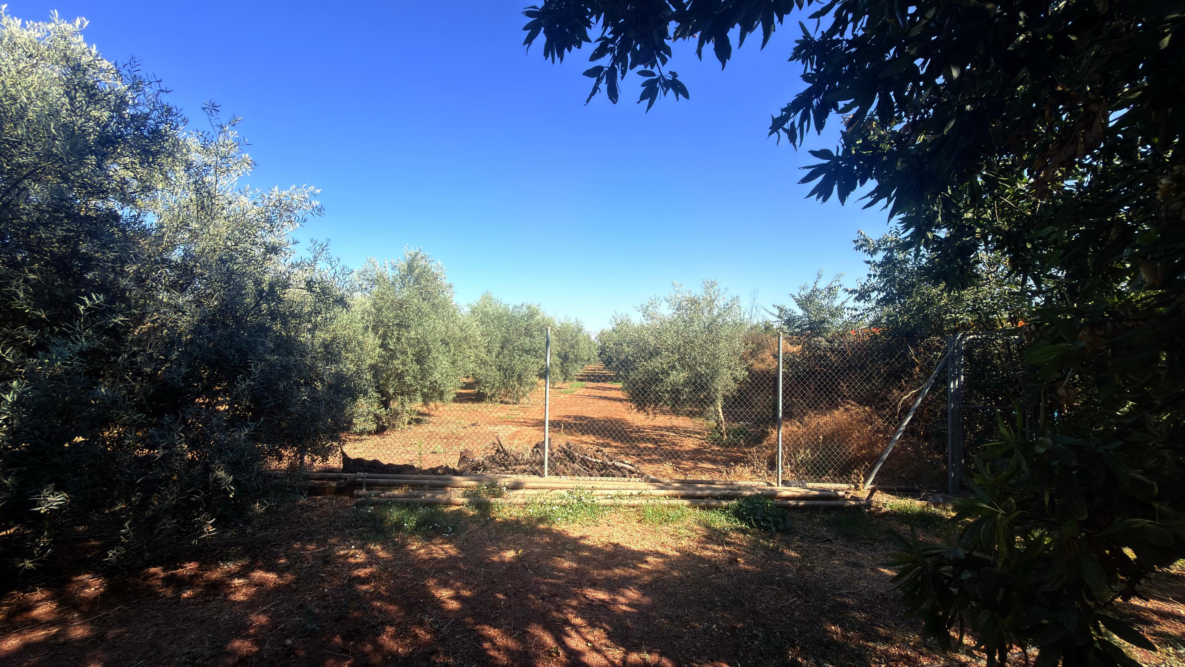 Casa Rural en Venta en Diseminado Poligono 87 - 6