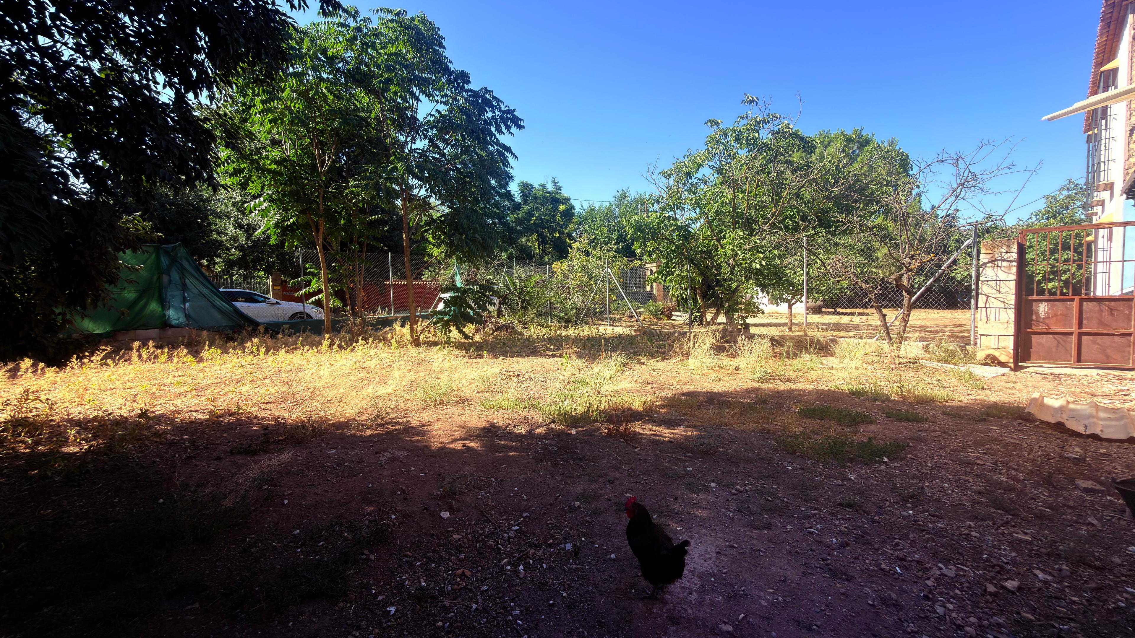 Casa Rural en Venta en Diseminado Poligono 87 - 27
