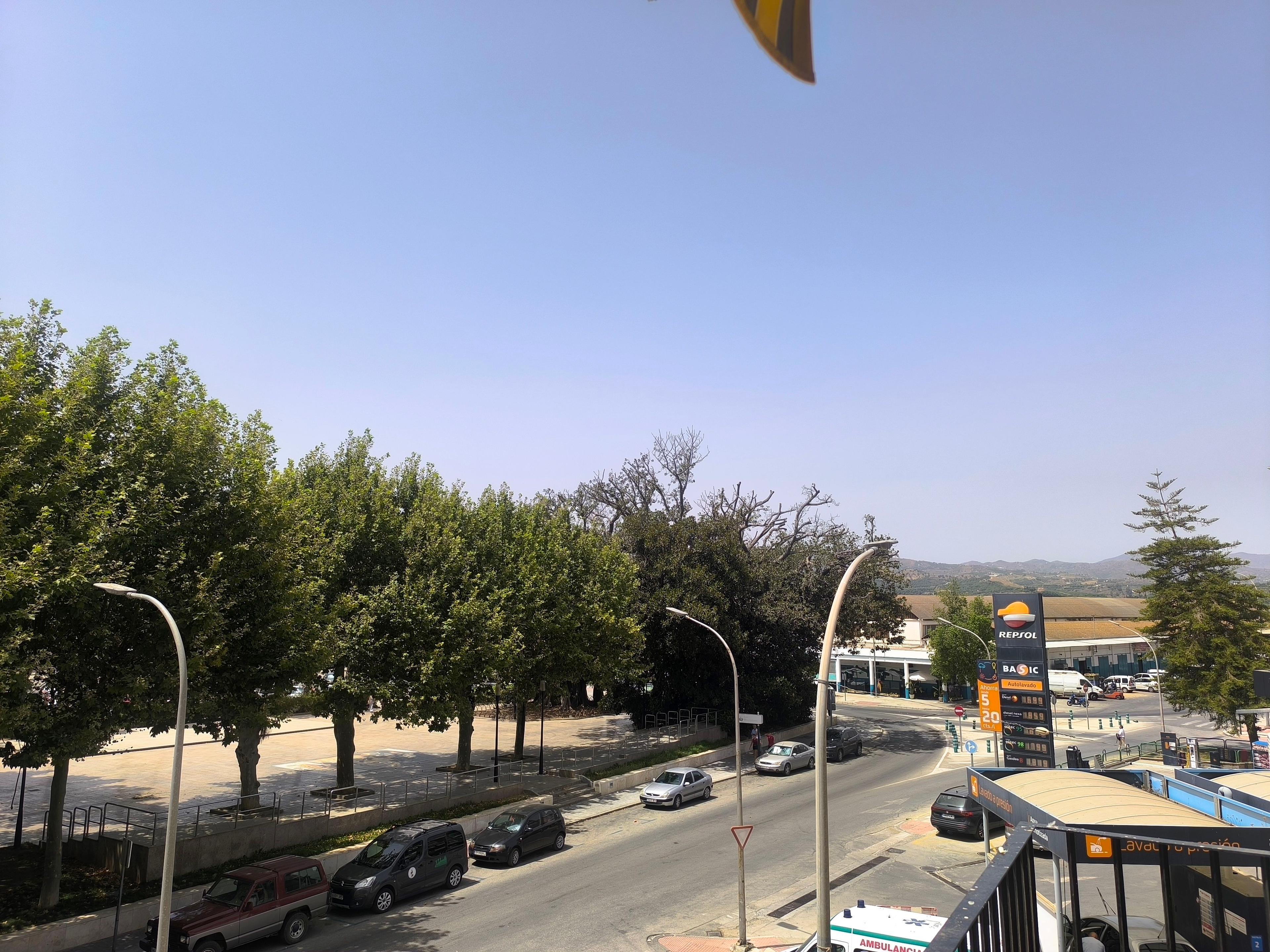 Piso en Venta en Calle Blas Infante - 17