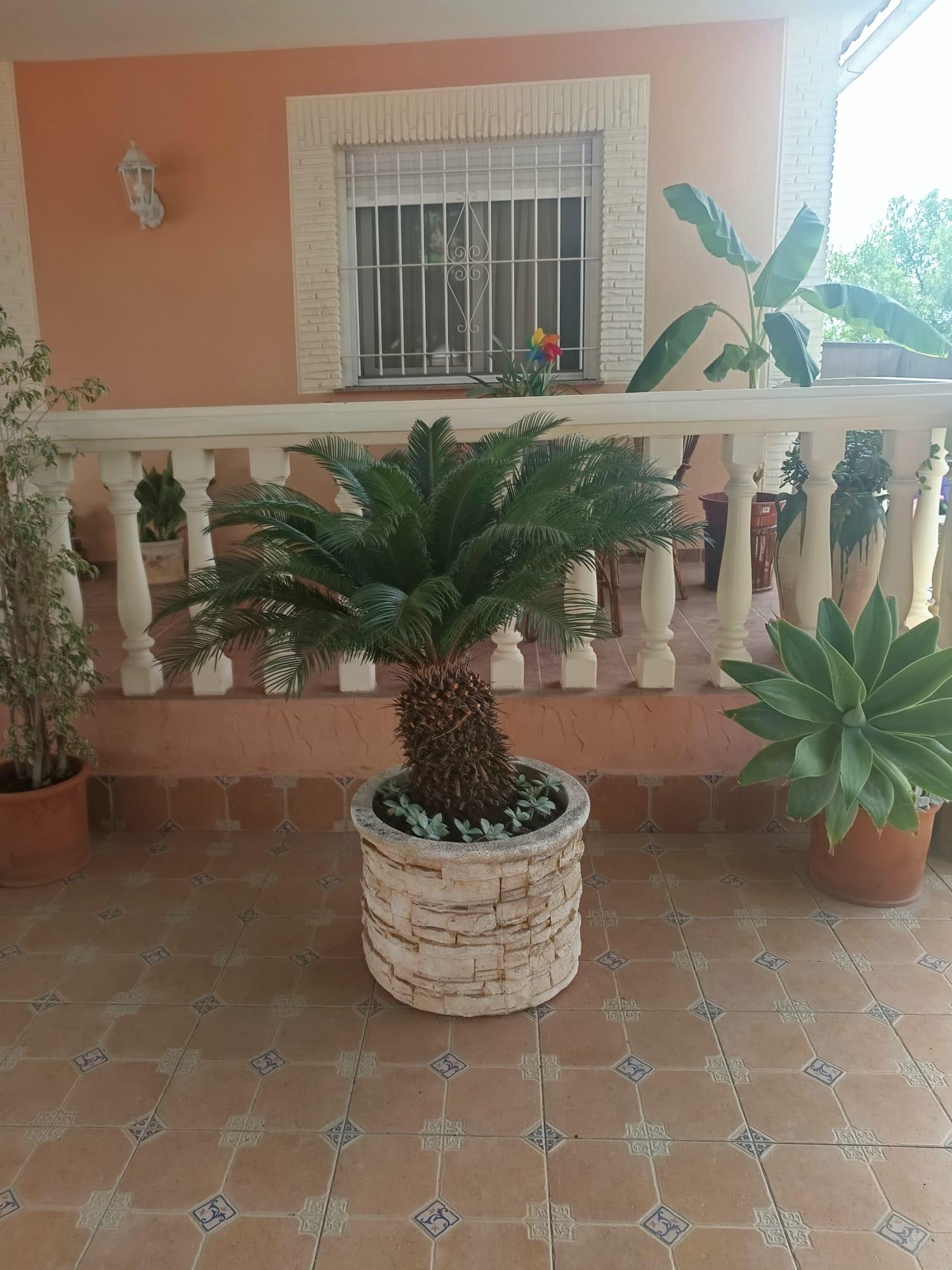 Casa en Venta en Carril los Belmontes - 35