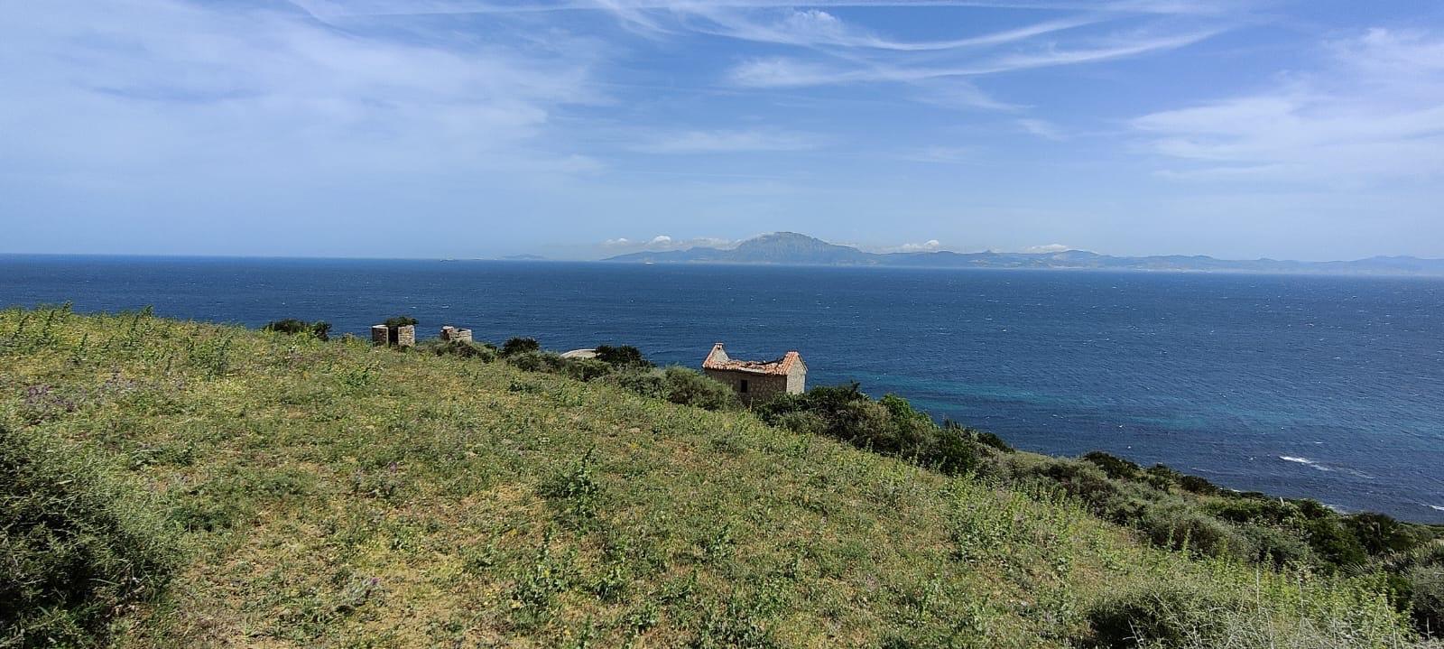 Parcela Comercial en Venta en Lugar Guadalmesi - 3