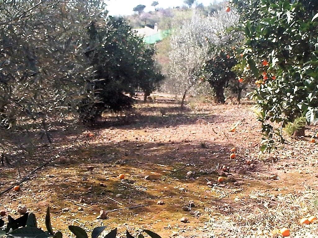 Terreno en Venta en Lugar Poligono 5 - 10