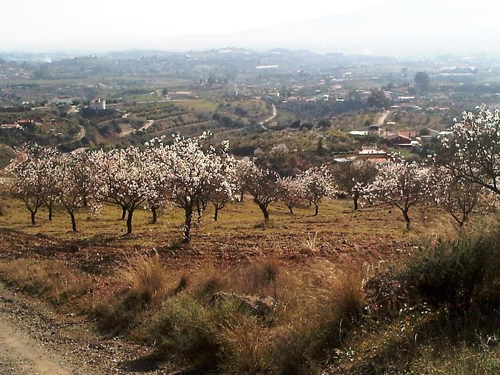 Terreno en Venta en Lugar Poligono 5 - 12