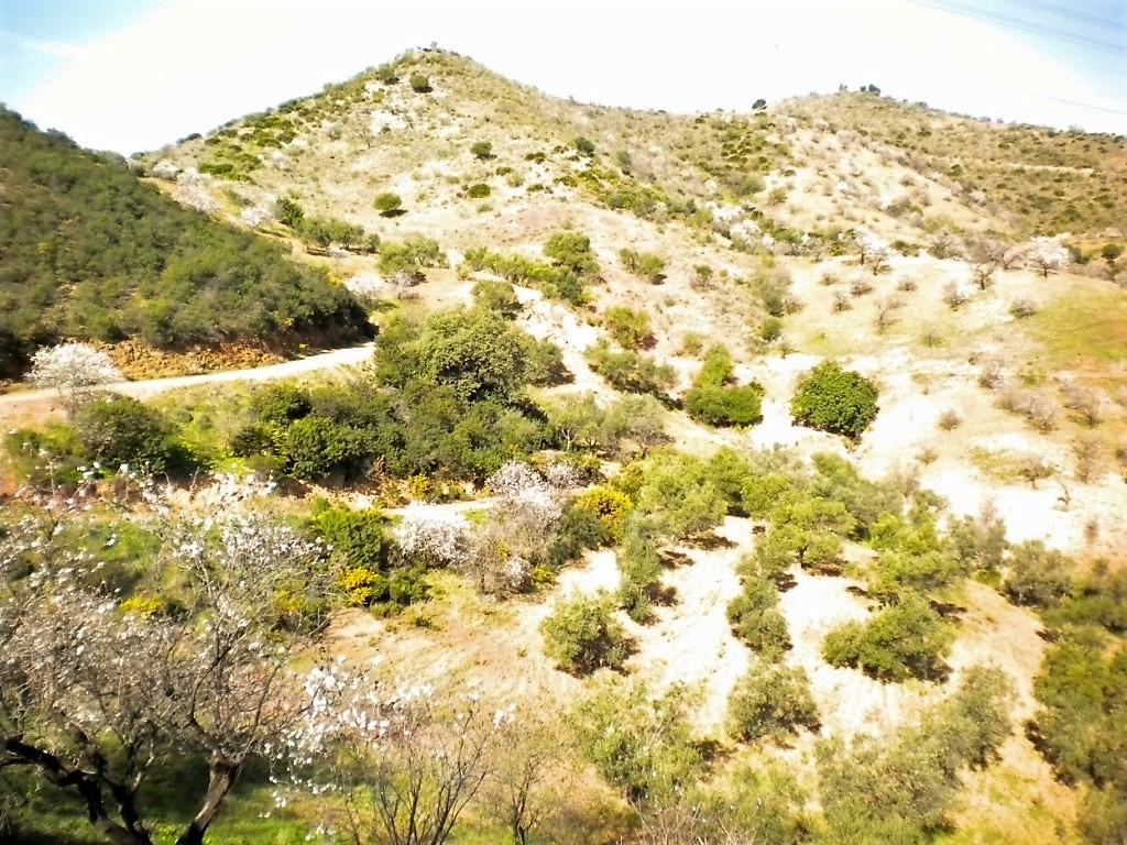 Terreno en Venta en Lugar Poligono 5 - 16