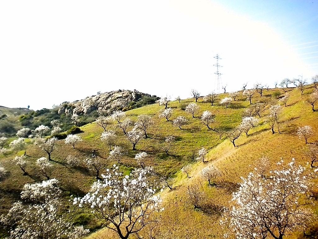 Terreno en Venta en Lugar Poligono 5 - 17
