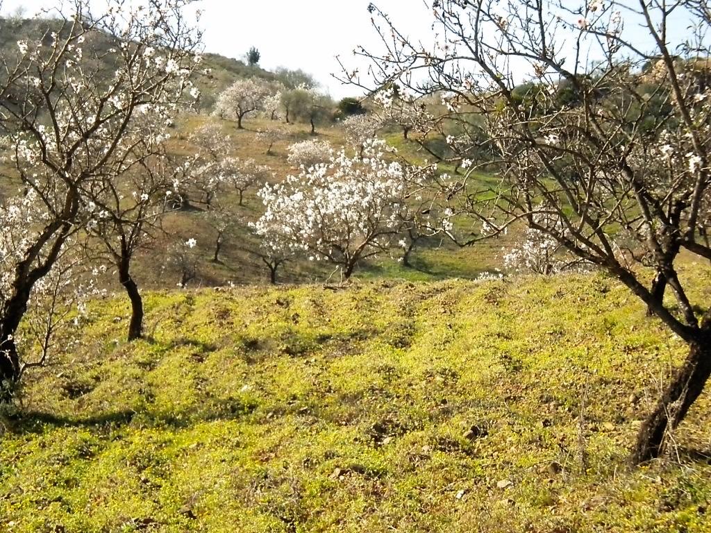 Terreno en Venta en Lugar Poligono 5 - 19