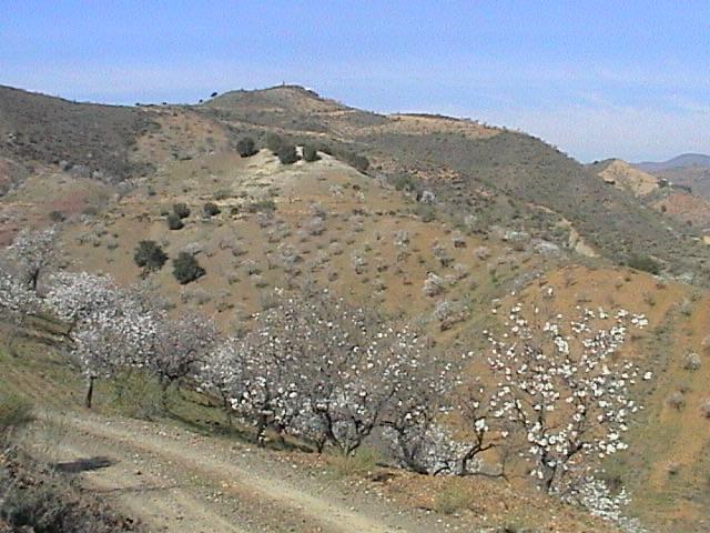 Terreno en Venta en Lugar Poligono 5 - 22