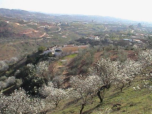 Terreno en Venta en Lugar Poligono 5 - 23