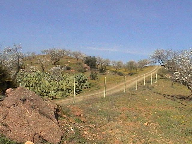 Terreno en Venta en Lugar Poligono 5 - 25