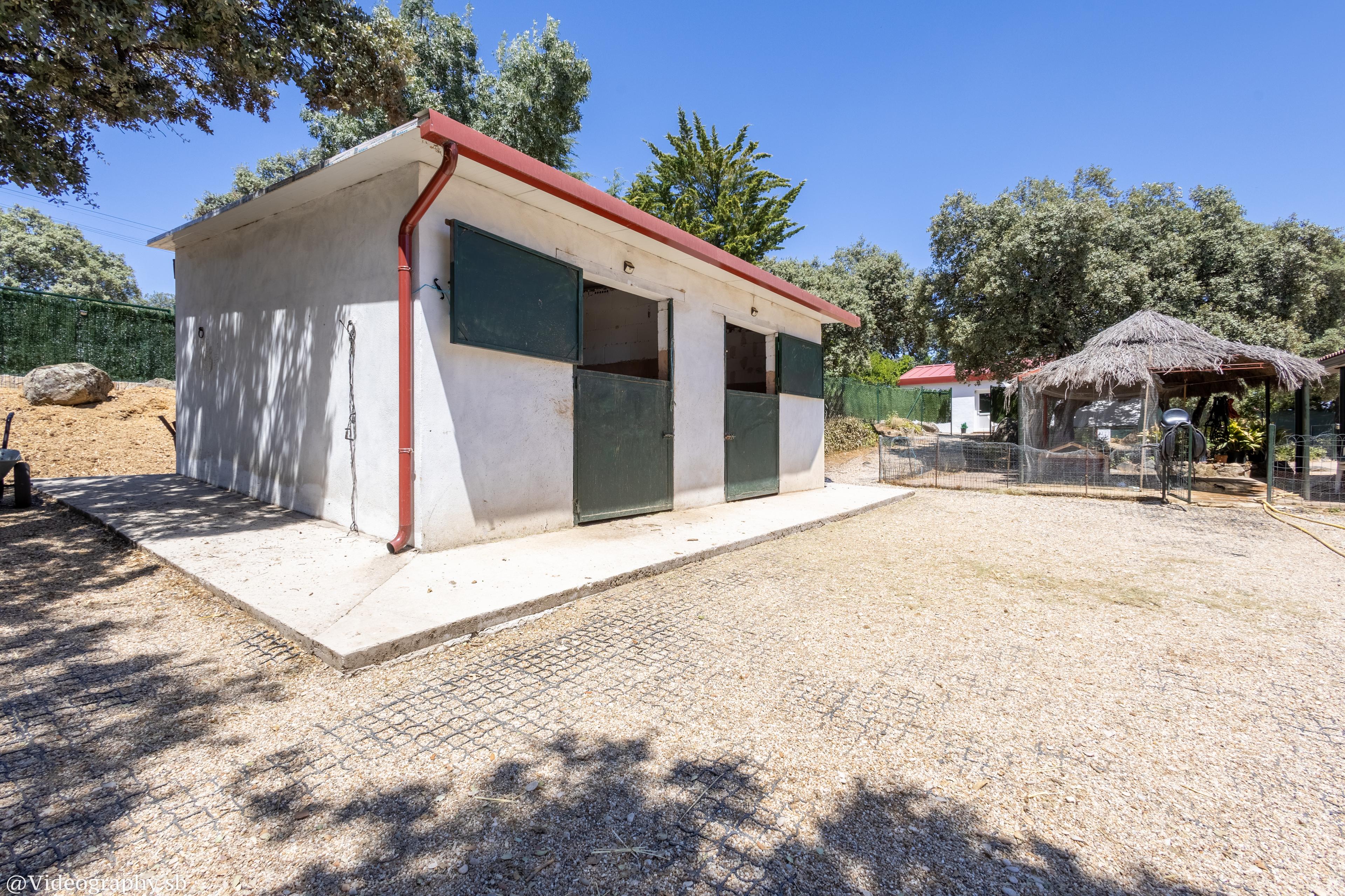 Casa en Venta en Calle Amapolas - 19