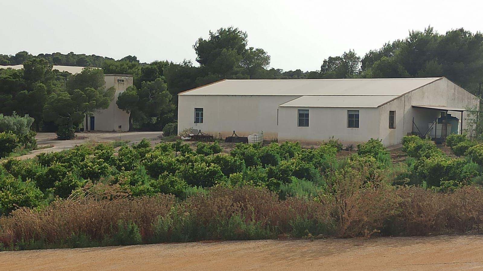 FINCA | 460 HECTÁREAS PRIVADAS CON VILLA, CAMPO DE GOLF Y EXPLOTACION AGRICOLA - 21