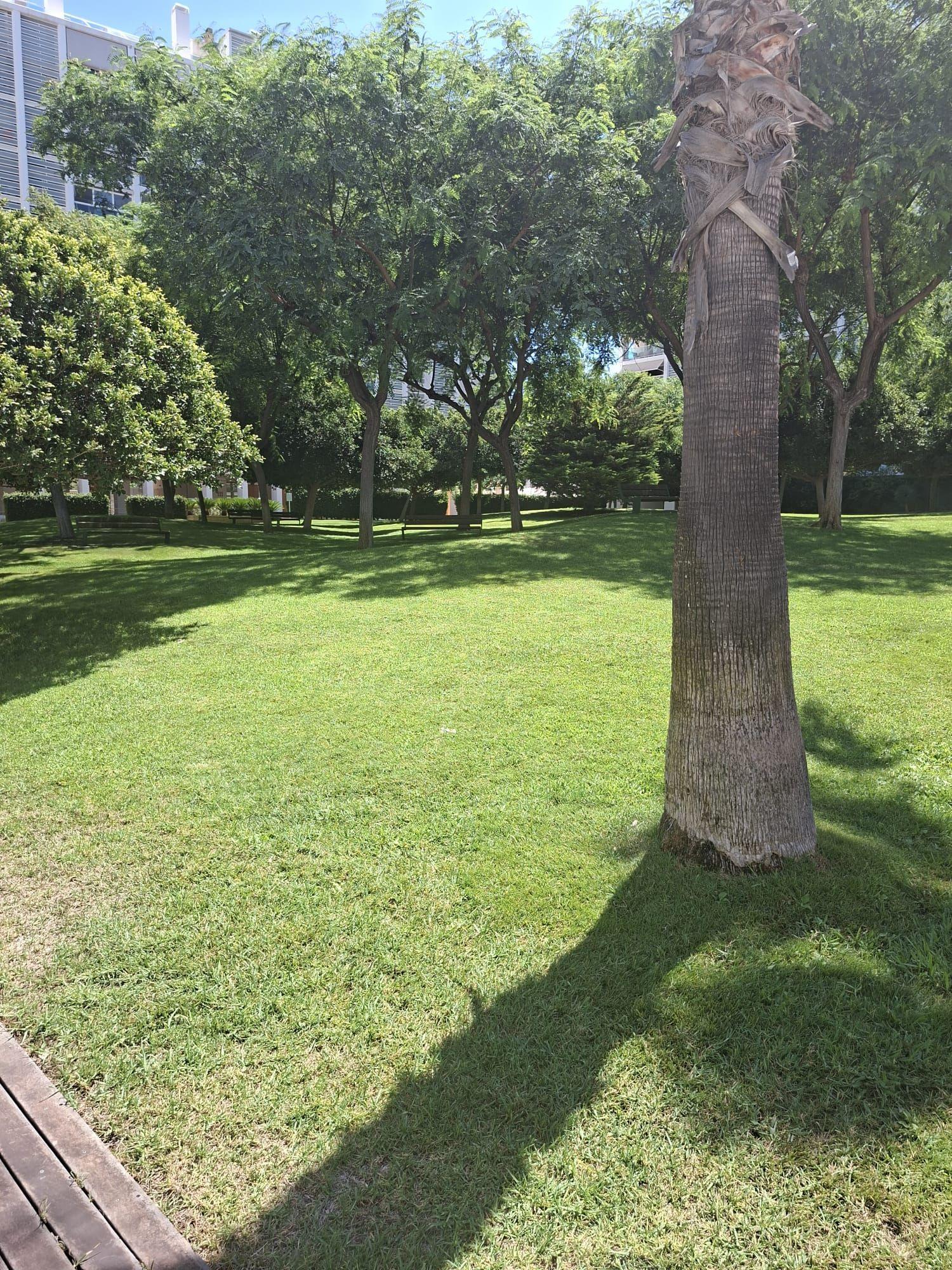 Piso en Venta en Carrer Catedratic Abelardo Rigual - 26